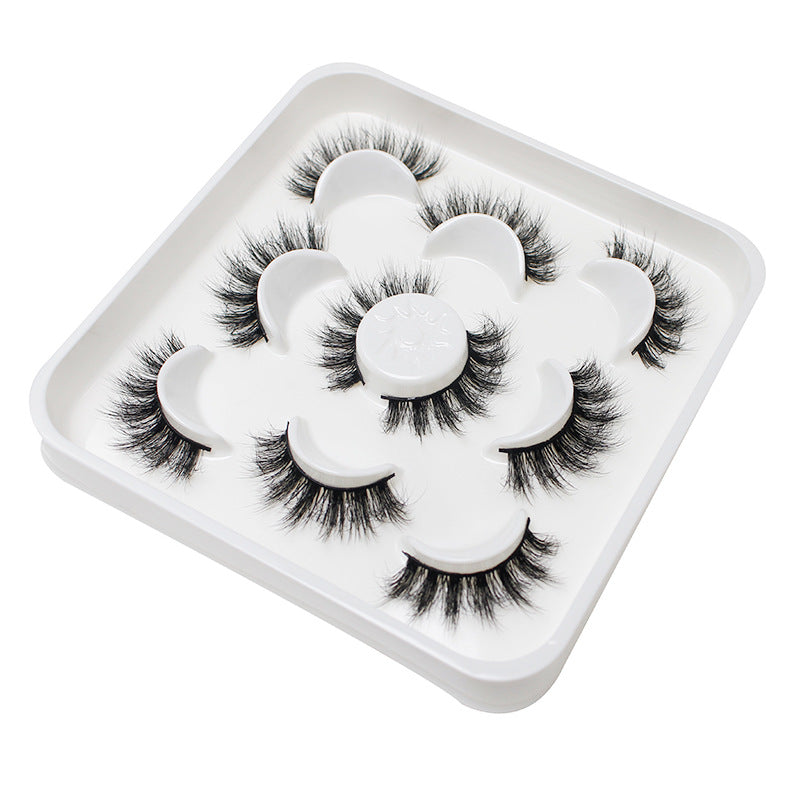 Dingsen false eyelashes factory cross-border stable supply fried hair series a total of 5 pairs of natural thick large curvature