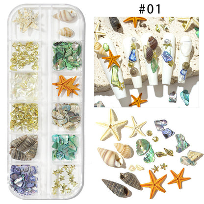 Cross-border hot selling ocean storm nail accessories natural starfish conch shell slices abalone slices 12 grid mixed