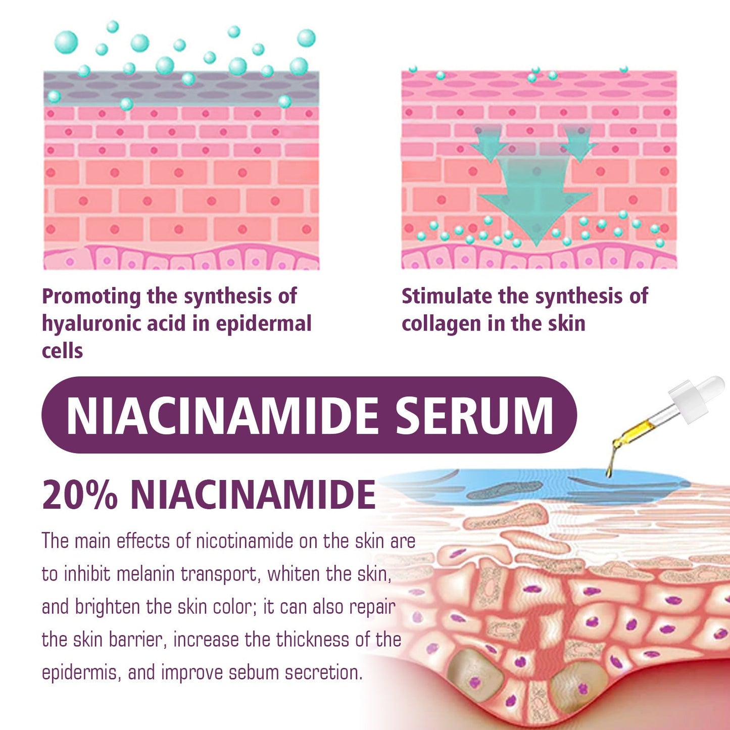 EELHOE Niacinamide Firming Essence ជួយបំប៉នស្បែកមុខ បំបាត់ស្នាមអុចខ្មៅ សង្វារ ស្នាមជ្រួញ និងបង្រួមរន្ធញើស 