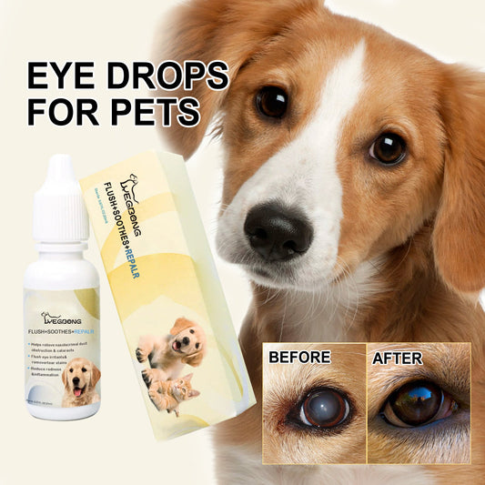 Yegbong Pet Eye Drops for Dogs and Cats ទឹកថ្នាំបន្តក់ភ្នែក ថែរក្សាភ្នែក 