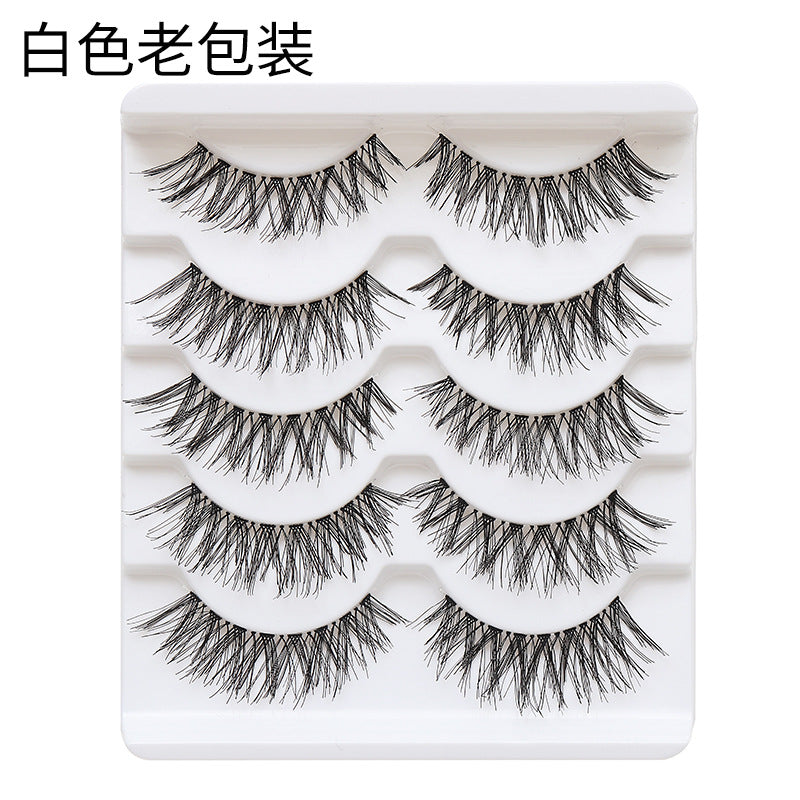 Dingsen cross-border supply false eyelashes factory 5 pairs of eyelashes natural style COS little devil eyelashes cartoon