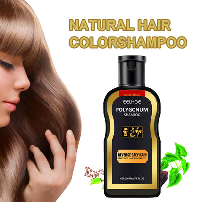 EELHOE Polygonum multiflorum shampoo black hair care shampoo cleansing , nourishing and smoothing shampoo លក់ដុំ 