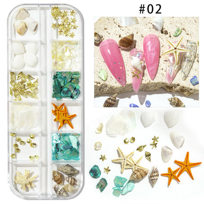 Cross-border hot selling ocean storm nail accessories natural starfish conch shell slices abalone slices 12 grid mixed