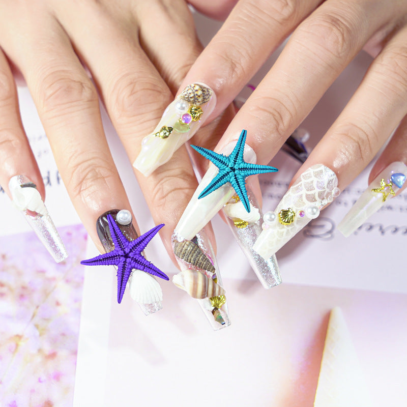 Cross-border hot selling ocean storm nail accessories natural starfish conch shell slices abalone slices 12 grid mixed