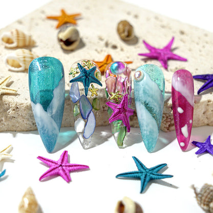 Cross-border hot selling ocean storm nail accessories natural starfish conch shell slices abalone slices 12 grid mixed