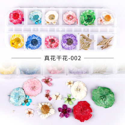 Cross-border new nail art dried flowers 12 grid long box hydrangea baby's breath small daisy immortal flower nail dried flowers