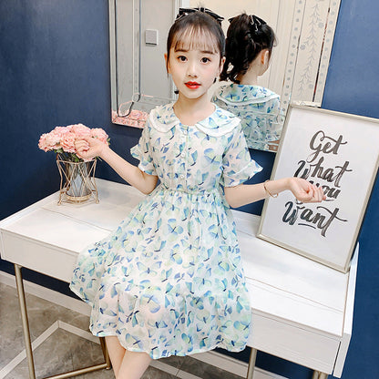 Girls chiffon dress 2024 summer new style doll collar butterfly print princess dress Bohemian holiday dress