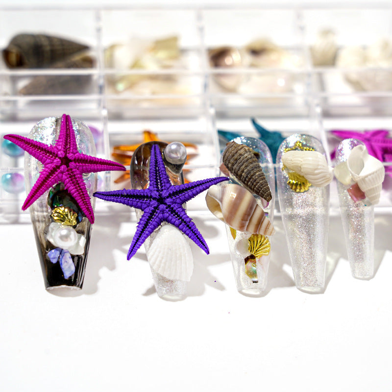 Cross-border hot selling ocean storm nail accessories natural starfish conch shell slices abalone slices 12 grid mixed