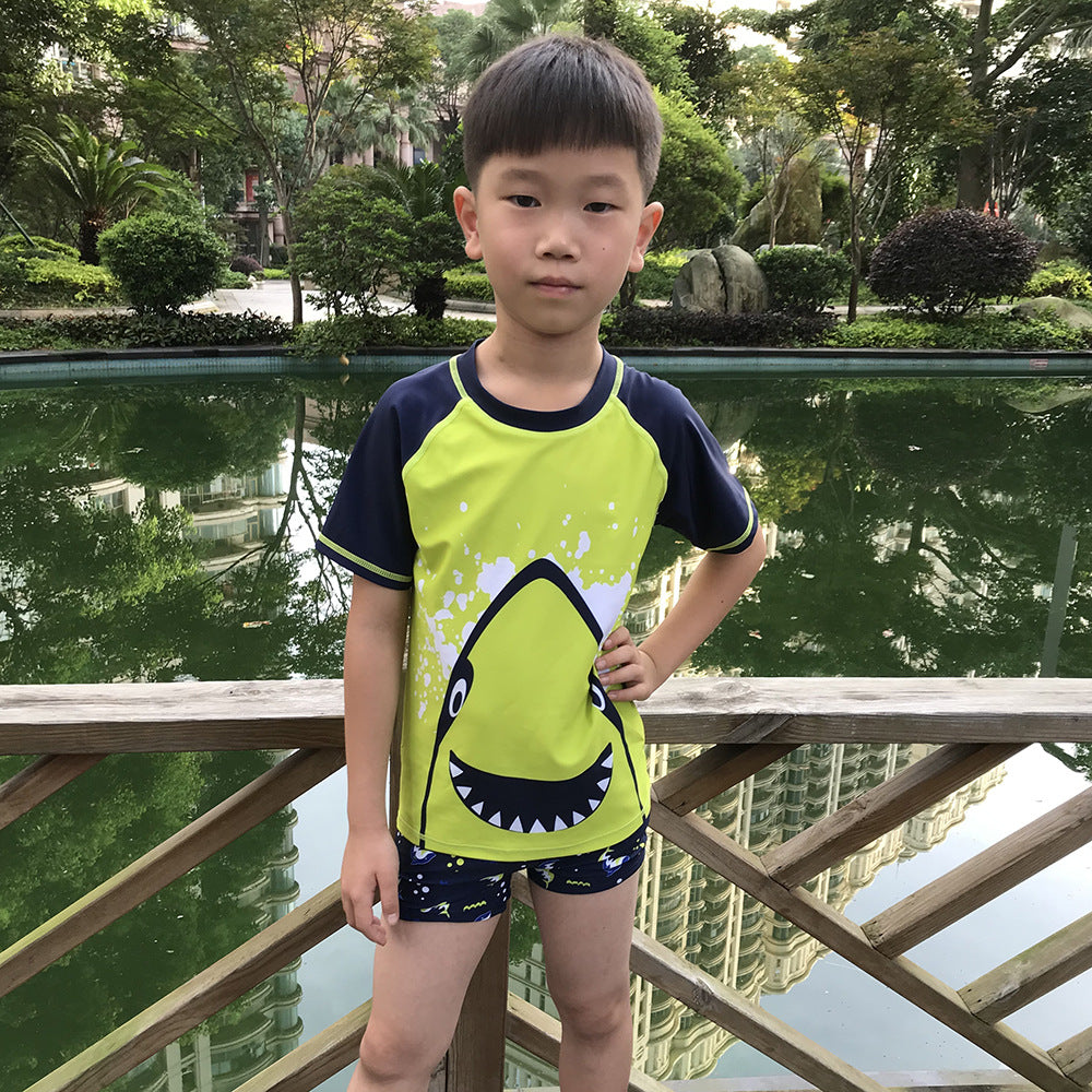 Children's swimsuit split 2024 summer new shark large and medium-sized children's hot spring swimsuit boy baby swimsuit wholesale