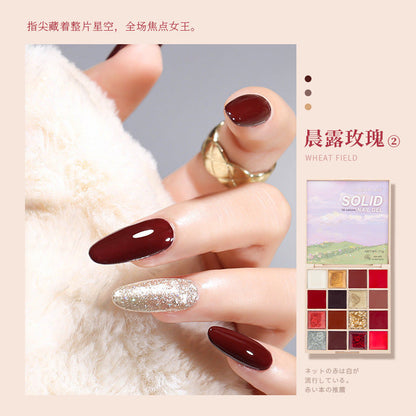 16 colors solid nail polish set eye shadow popular solid cream painting glue nail salon dedicated factory wholesale