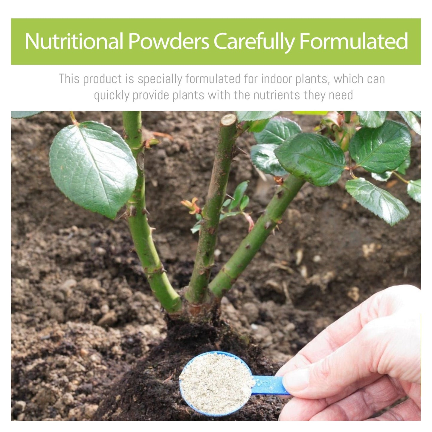 Yegbong plant nutrient powder flower plant potted cuttings transplanting root growth universal nutrient powder 