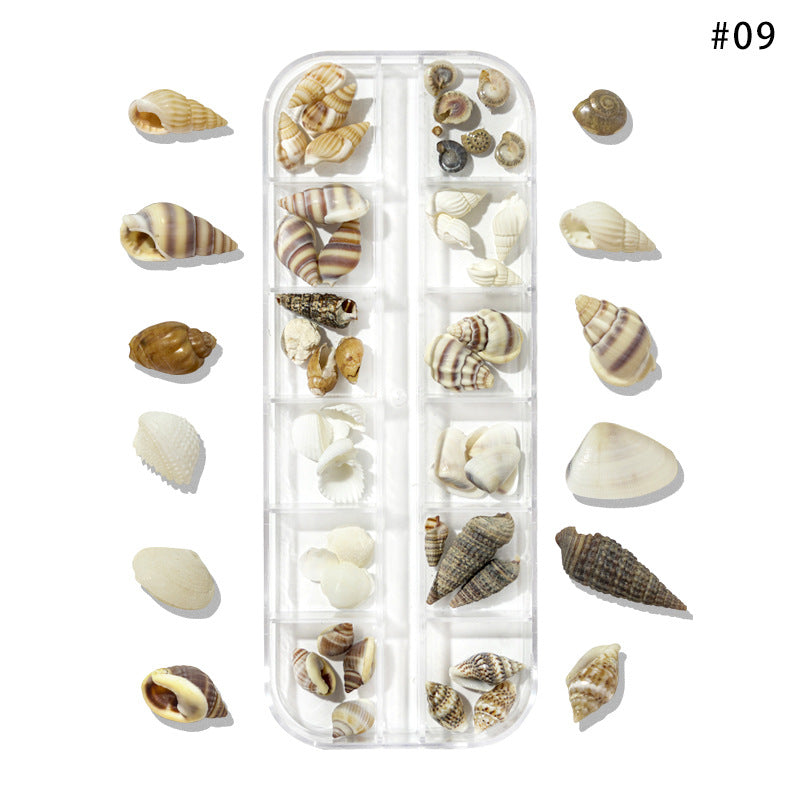 Cross-border hot selling ocean storm nail accessories natural starfish conch shell slices abalone slices 12 grid mixed