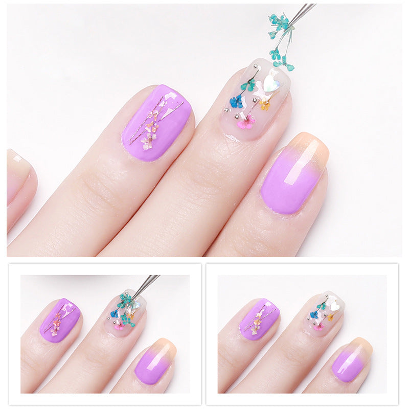 Cross-border new nail art dried flowers 12 grid long box hydrangea baby's breath small daisy immortal flower nail dried flowers