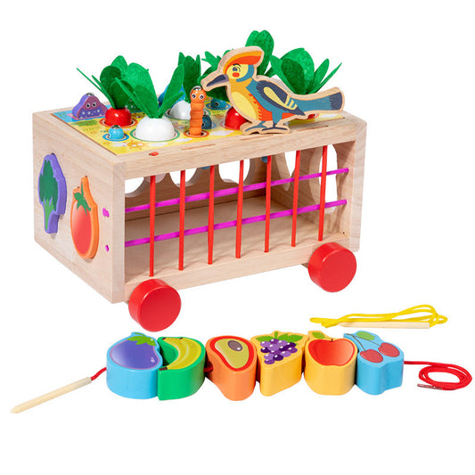 Kindergarten wooden multifunctional carrot trailer fruit number fishing catching insect shape color cognitive matching toy