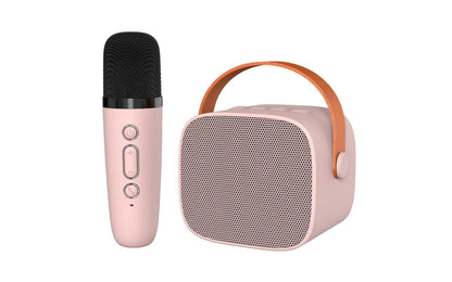 P2 dual-microphone wireless Bluetooth speaker with microphone karaoke integrated audio home portable outdoor singing wholesale