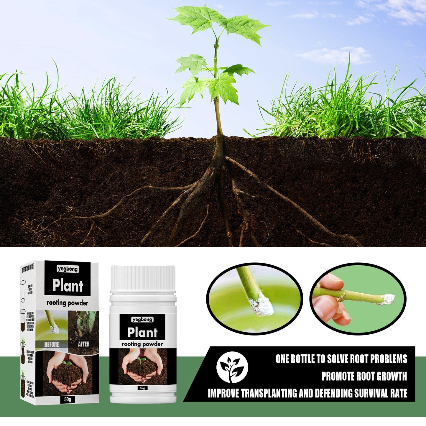 Yegbong rooting powder for transplanting trees and fruit trees, root rooting nutrient powder for cuttings, general use for plant rooting 