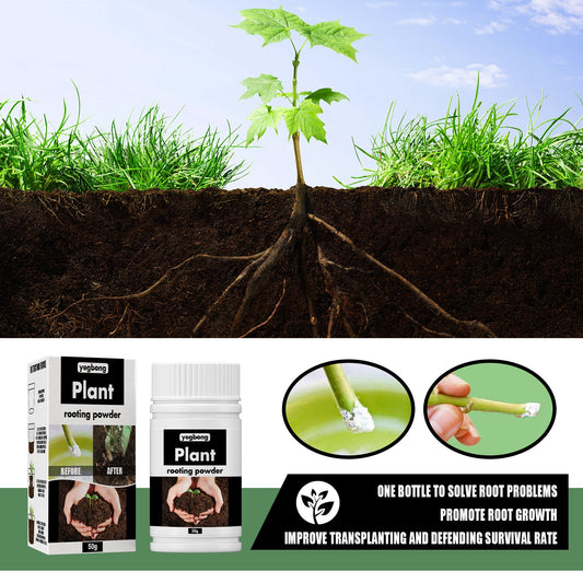 Yegbong rooting powder for transplanting trees and fruit trees, root rooting nutrient powder for cuttings, general use for plant rooting 