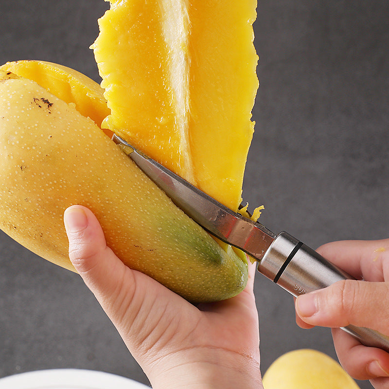 New 304 stainless steel mango corer multifunctional meat remover fruit tool pineapple corer mango knife