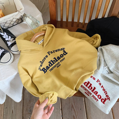 Children's sweatshirt 2024 Bangcheng Spring Boys' Middle and Small Children's Embroidered Letters Loose Hooded Pullover Sweatshirt C0230 