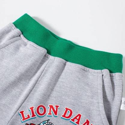 2024 new children's clothing summer new lion print Chinese style shorts summer boys sports pants children's shorts