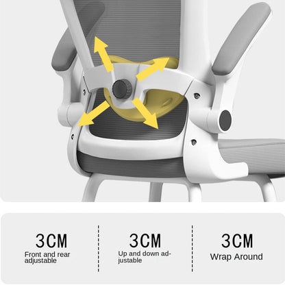 Study chair student lift work chair children's seat four-foot 267 four-foot lift